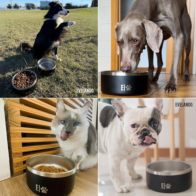 Pack 3 Dog Food Bowls Premium Stainless Steel 2×32oz & 1×64oz Non-Slip BPA-Free (Set 3) 2 Medium & 1 Large Pet Food and Water Bowls - Image 8