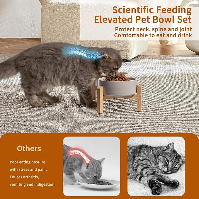 Elevated Ceramic Dog Bowl, 2 Cups Dog Food and Water Bowl Set with Stand | 5.1'' Double Dog Feeding Dishes, Non-Slip Raised Dog Feeder for Cats and Puppies, 16.23 OZ / 480 ML, White - Image 4