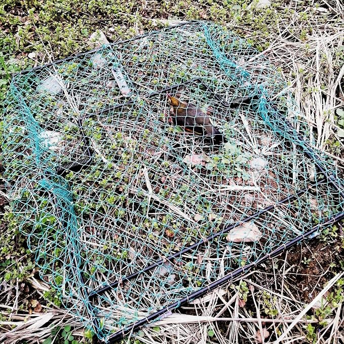 Pigeon Bird Trap Quail Sparrow 2 Pack Spring Starling Catching Net Traps for Trapping - Image 5