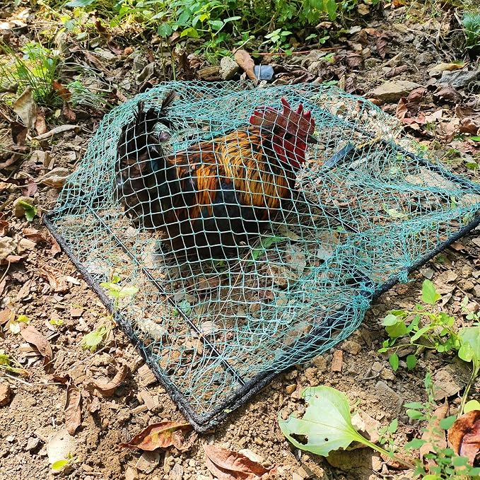 Pigeon Bird Trap Trapping Chicken Quail 2 Pack Spring Starling Catching Net Traps - Image 2