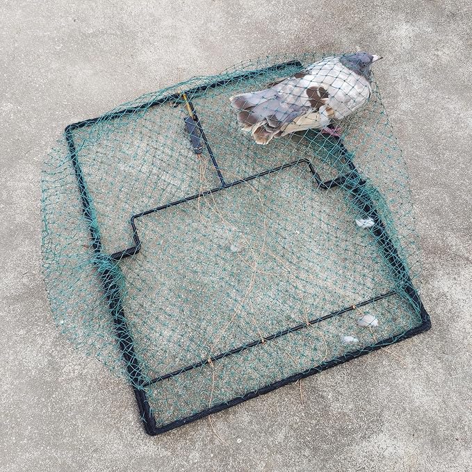 Pigeon Bird Trap Trapping Chicken Quail 2 Pack Spring Starling Catching Net Traps - Image 3