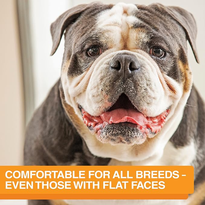 Neater Feeder Express Mess Proof Dog Bowls Elevated for Medium and Large Breed – Made in USA – No Spill Raised Slow Feeder Elevated Dog Bowl Stand, Slow Feed Food and Water Bowl Set, Almond - Image 6