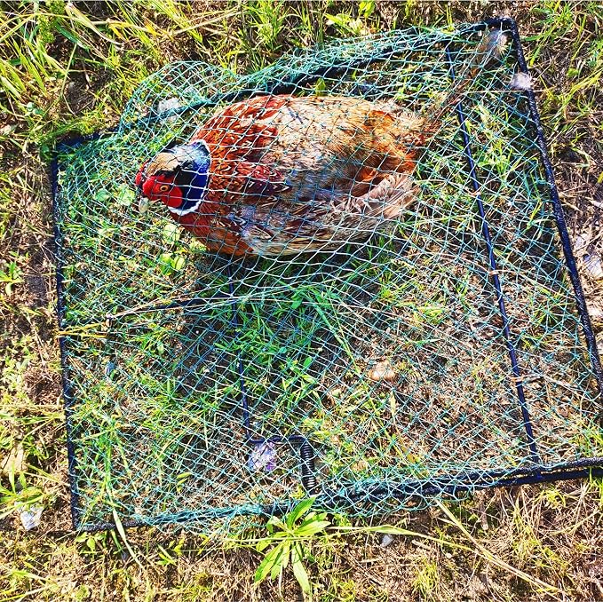 Bird Trap Pigeon Quail Live Animal Control Spring Starling Chicken Snares for Trapping - Image 3