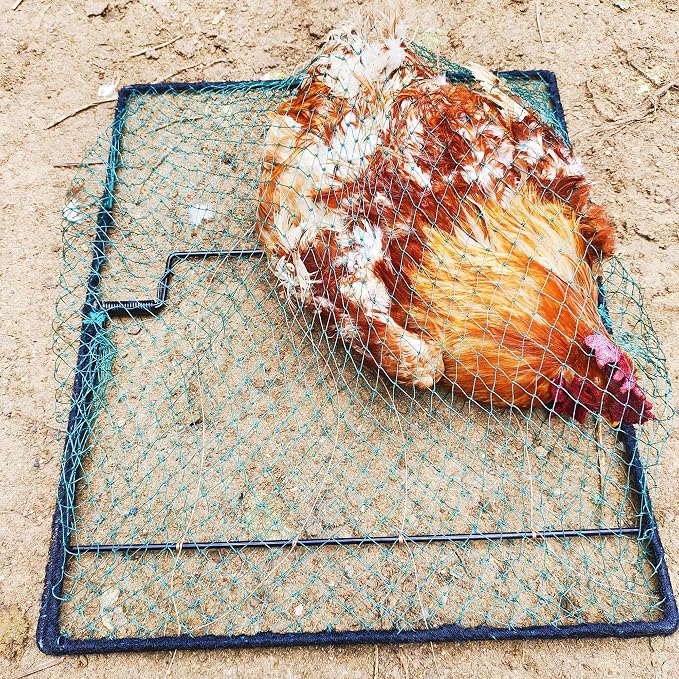 Bird Trap Pigeon Quail Live Animal Control Spring Starling Chicken Snares for Trapping - Image 2