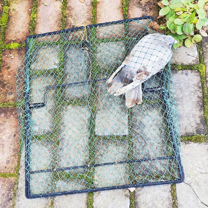 Bird Trap Pigeon Quail Live Animal Control Spring Starling Chicken Snares for Trapping - Image 5